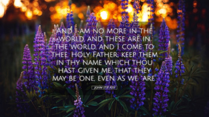 Picture 05 - John 17:11 ASV Desktop Wallpaper - And I am no more in the world, and these are in - Desktop Bible Verse Wallpaper