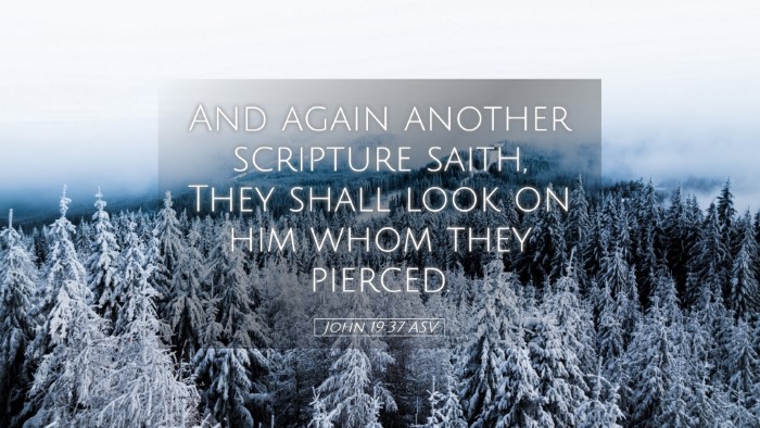 Picture 05 - John 19:37 ASV Desktop Wallpaper - And again another scripture saith, They shall - Desktop Bible Verse Wallpaper