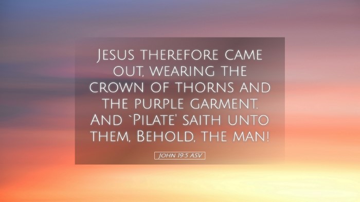 Picture 05 - John 19:5 ASV Desktop Wallpaper - Jesus therefore came out, wearing the crown of - Desktop Bible Verse Wallpaper