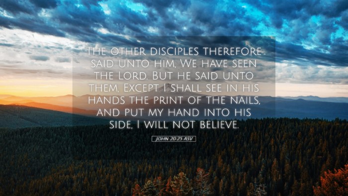 Picture 05 - John 20:25 ASV Desktop Wallpaper - The other disciples therefore said unto him, We - Desktop Bible Verse Wallpaper