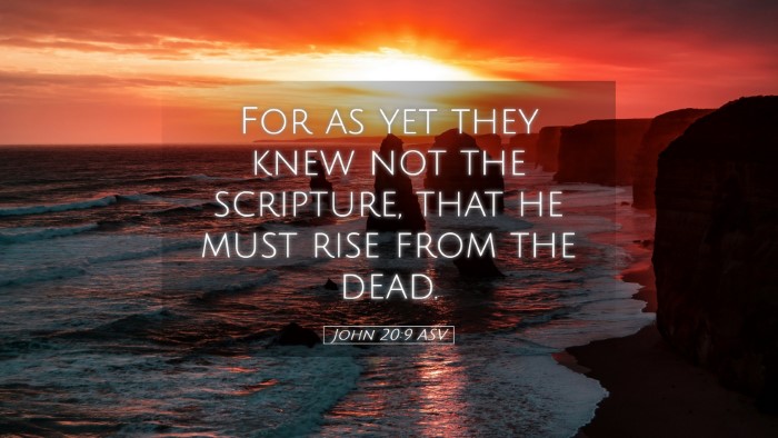 Picture 05 - John 20:9 ASV Desktop Wallpaper - For as yet they knew not the scripture, that he - Desktop Bible Verse Wallpaper