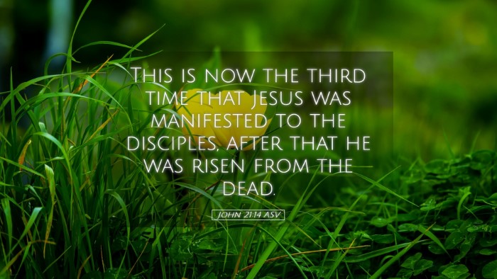 Picture 05 - John 21:14 ASV Desktop Wallpaper - This is now the third time that Jesus was - Desktop Bible Verse Wallpaper