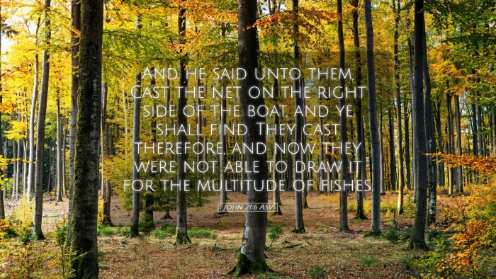 Picture 05 - John 21:6 ASV Desktop Wallpaper - And he said unto them, Cast the net on the right - Desktop Bible Verse Wallpaper
