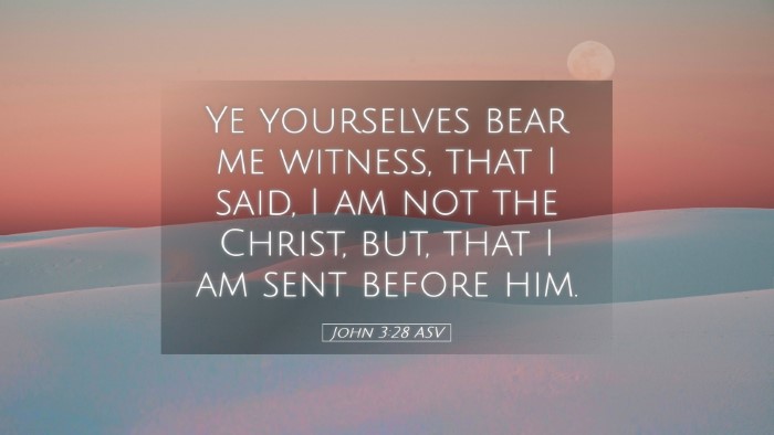 Picture 05 - John 3:28 ASV Desktop Wallpaper - Ye yourselves bear me witness, that I said, I am - Desktop Bible Verse Wallpaper