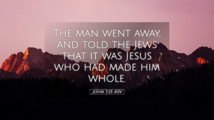 Picture 05 - John 5:15 ASV Desktop Wallpaper - The man went away, and told the Jews that it was - Desktop Bible Verse Wallpaper