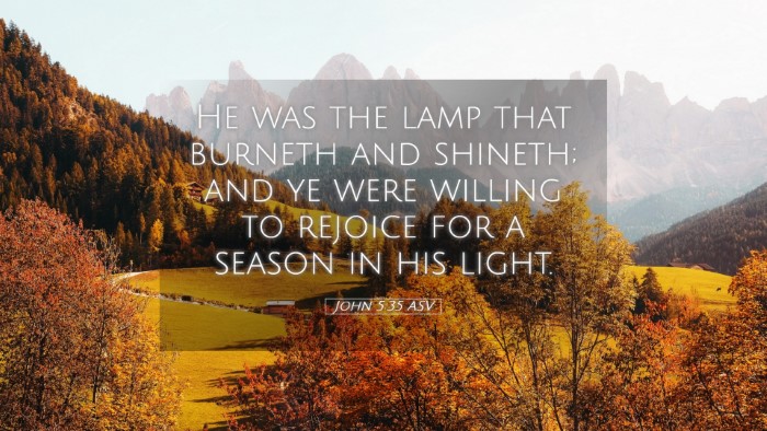 Picture 05 - John 5:35 ASV Desktop Wallpaper - He was the lamp that burneth and shineth; and ye - Desktop Bible Verse Wallpaper