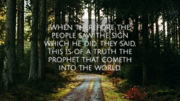 Picture 05 - John 6:14 ASV Desktop Wallpaper - When therefore the people saw the sign which he - Desktop Bible Verse Wallpaper