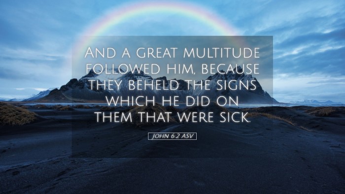 Picture 05 - John 6:2 ASV Desktop Wallpaper - And a great multitude followed him, because they - Desktop Bible Verse Wallpaper