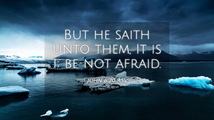 Picture 05 - John 6:20 ASV Desktop Wallpaper - But he saith unto them, It is I; be not - Desktop Bible Verse Wallpaper