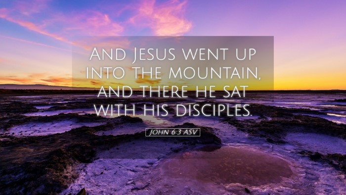 Picture 05 - John 6:3 ASV Desktop Wallpaper - And Jesus went up into the mountain, and there he - Desktop Bible Verse Wallpaper