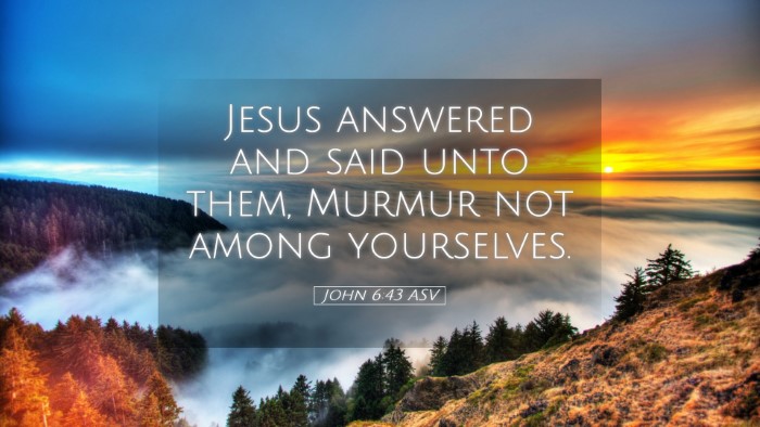 Picture 05 - John 6:43 ASV Desktop Wallpaper - Jesus answered and said unto them, Murmur not - Desktop Bible Verse Wallpaper