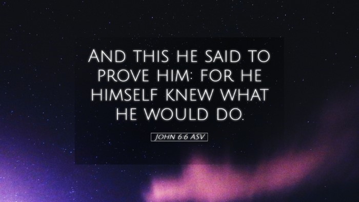 Picture 05 - John 6:6 ASV Desktop Wallpaper - And this he said to prove him: for he himself - Desktop Bible Verse Wallpaper