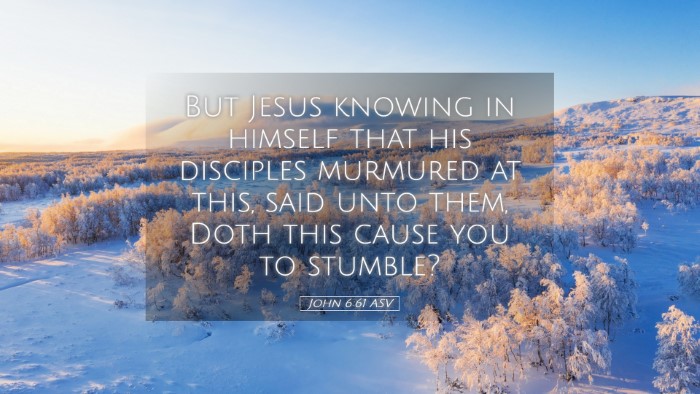 Picture 05 - John 6:61 ASV Desktop Wallpaper - But Jesus knowing in himself that his disciples - Desktop Bible Verse Wallpaper