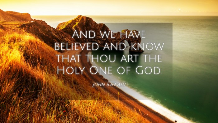Picture 05 - John 6:69 ASV Desktop Wallpaper - And we have believed and know that thou art the - Desktop Bible Verse Wallpaper