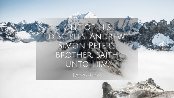 Picture 05 - John 6:8 ASV Desktop Wallpaper - One of his disciples, Andrew, Simon Peter's - Desktop Bible Verse Wallpaper