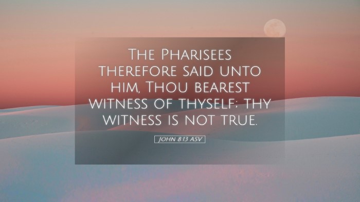 Picture 05 - John 8:13 ASV Desktop Wallpaper - The Pharisees therefore said unto him, Thou - Desktop Bible Verse Wallpaper