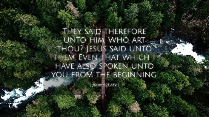 Picture 05 - John 8:25 ASV Desktop Wallpaper - They said therefore unto him, Who art thou? Jesus - Desktop Bible Verse Wallpaper
