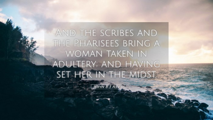 Picture 05 - John 8:3 ASV Desktop Wallpaper - And the scribes and the Pharisees bring a woman - Desktop Bible Verse Wallpaper