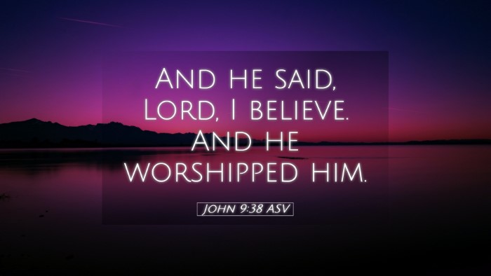 Picture 05 - John 9:38 ASV Desktop Wallpaper - And he said, Lord, I believe. And he worshipped - Desktop Bible Verse Wallpaper