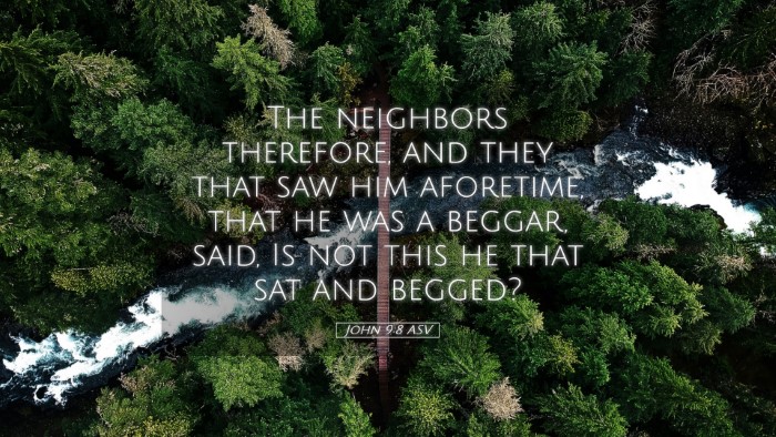 Picture 05 - John 9:8 ASV Desktop Wallpaper - The neighbors therefore, and they that saw him - Desktop Bible Verse Wallpaper