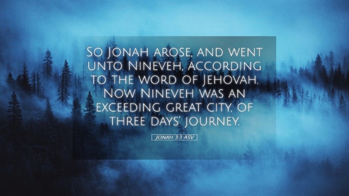 Picture 05 - Jonah 3:3 ASV Desktop Wallpaper - So Jonah arose, and went unto Nineveh, according - Desktop Bible Verse Wallpaper