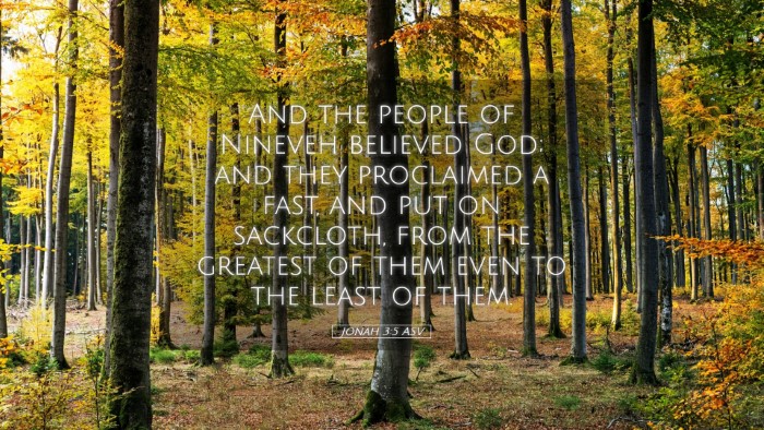 Picture 05 - Jonah 3:5 ASV Desktop Wallpaper - And the people of Nineveh believed God; and they - Desktop Bible Verse Wallpaper