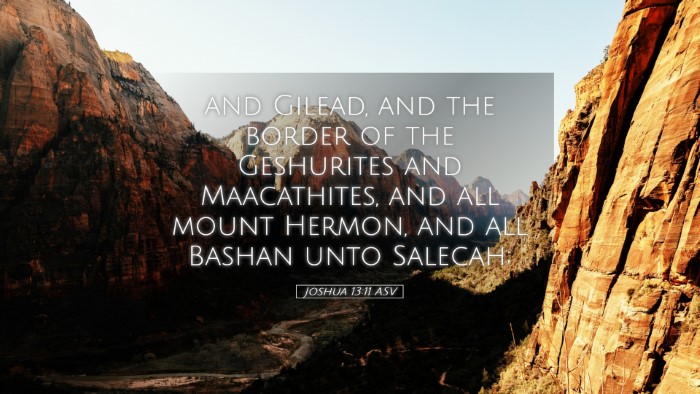 Picture 05 - Joshua 13:11 ASV Desktop Wallpaper - and Gilead, and the border of the Geshurites and - Desktop Bible Verse Wallpaper
