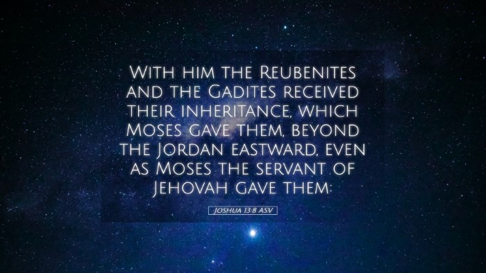 Picture 05 - Joshua 13:8 ASV Desktop Wallpaper - With him the Reubenites and the Gadites received - Desktop Bible Verse Wallpaper