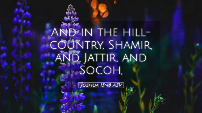 Picture 05 - Joshua 15:48 ASV Desktop Wallpaper - And in the hill-country, Shamir, and Jattir, and - Desktop Bible Verse Wallpaper