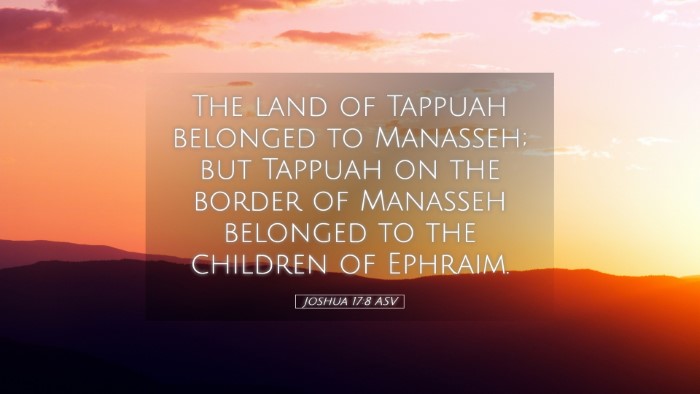 Picture 05 - Joshua 17:8 ASV Desktop Wallpaper - The land of Tappuah belonged to Manasseh; but - Desktop Bible Verse Wallpaper