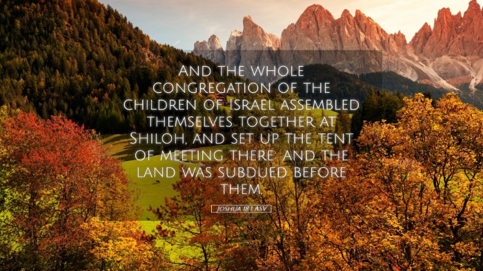 Picture 05 - Joshua 18:1 ASV Desktop Wallpaper - And the whole congregation of the children of - Desktop Bible Verse Wallpaper