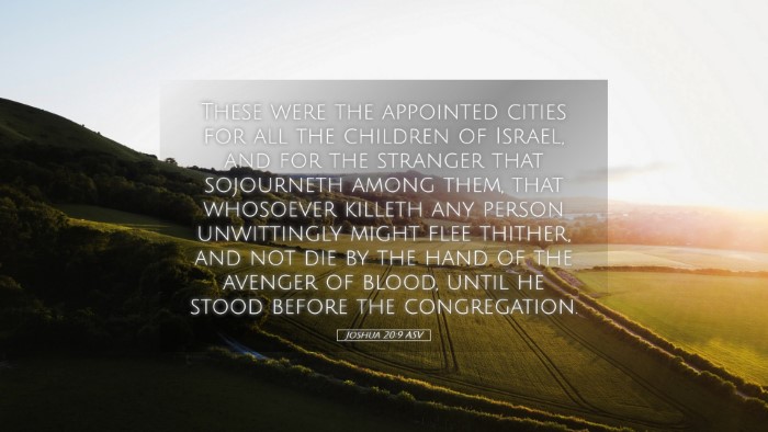 Picture 05 - Joshua 20:9 ASV Desktop Wallpaper - These were the appointed cities for all the - Desktop Bible Verse Wallpaper