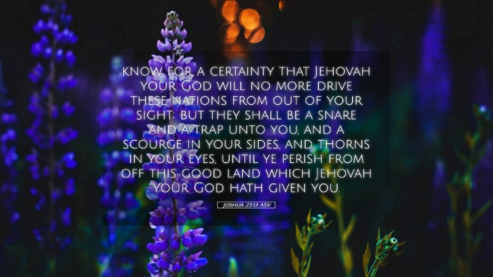 Picture 05 - Joshua 23:13 ASV Desktop Wallpaper - know for a certainty that Jehovah your God will - Desktop Bible Verse Wallpaper