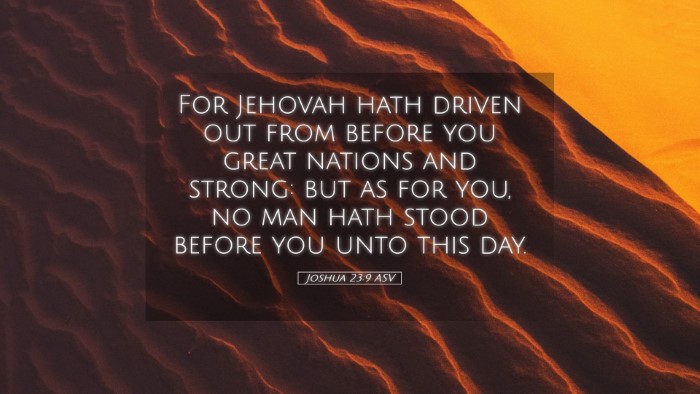 Picture 05 - Joshua 23:9 ASV Desktop Wallpaper - For Jehovah hath driven out from before you great - Desktop Bible Verse Wallpaper