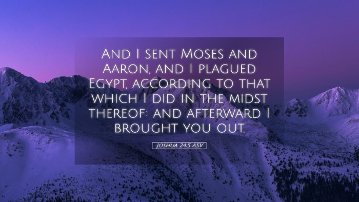 Picture 05 - Joshua 24:5 ASV Desktop Wallpaper - And I sent Moses and Aaron, and I plagued Egypt, - Desktop Bible Verse Wallpaper