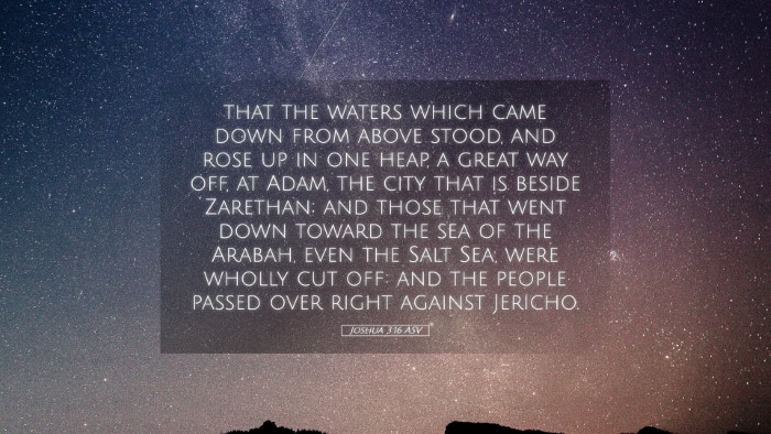Picture 05 - Joshua 3:16 ASV Desktop Wallpaper - that the waters which came down from above stood, - Desktop Bible Verse Wallpaper