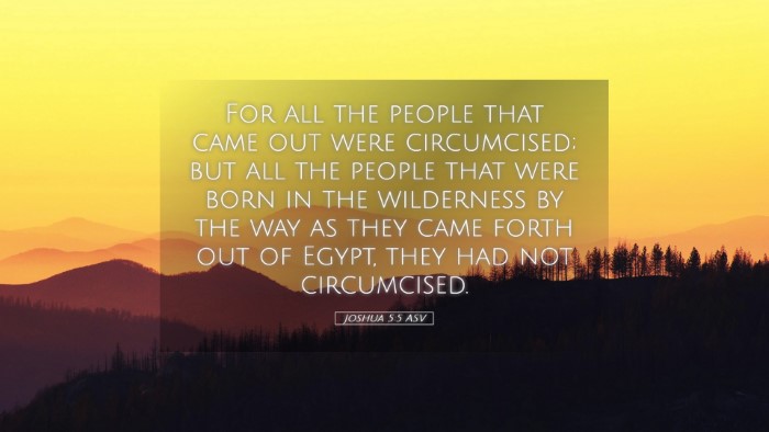 Picture 05 - Joshua 5:5 ASV Desktop Wallpaper - For all the people that came out were - Desktop Bible Verse Wallpaper