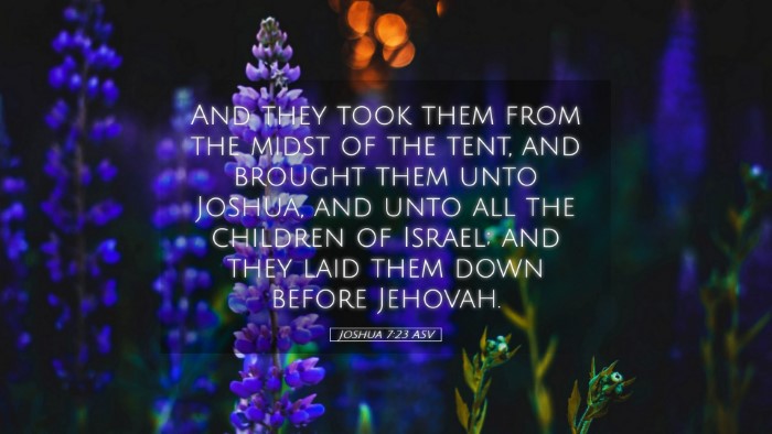 Picture 05 - Joshua 7:23 ASV Desktop Wallpaper - And they took them from the midst of the tent, - Desktop Bible Verse Wallpaper