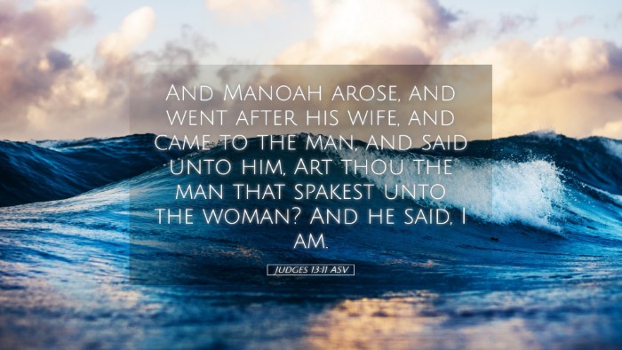 Picture 05 - Judges 13:11 ASV Desktop Wallpaper - And Manoah arose, and went after his wife, and - Desktop Bible Verse Wallpaper
