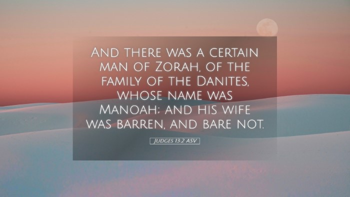 Picture 05 - Judges 13:2 ASV Desktop Wallpaper - And there was a certain man of Zorah, of the - Desktop Bible Verse Wallpaper