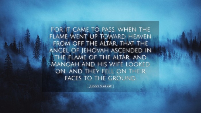 Picture 05 - Judges 13:20 ASV Desktop Wallpaper - For it came to pass, when the flame went up - Desktop Bible Verse Wallpaper