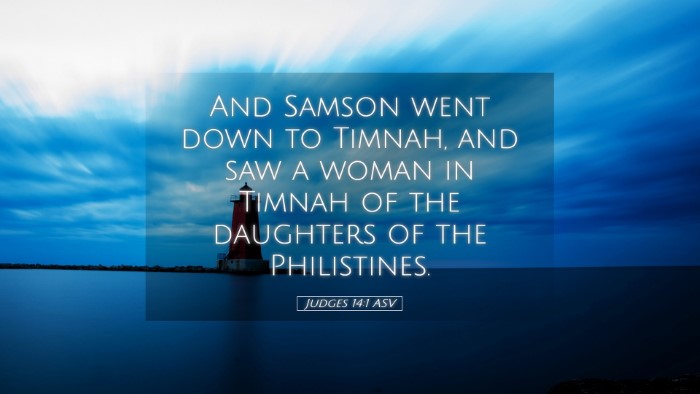 Picture 05 - Judges 14:1 ASV Desktop Wallpaper - And Samson went down to Timnah, and saw a woman - Desktop Bible Verse Wallpaper