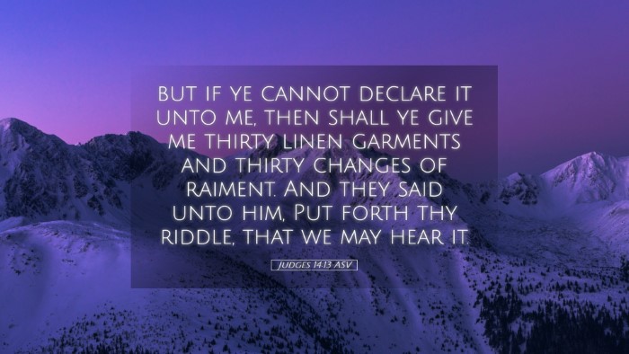 Picture 05 - Judges 14:13 ASV Desktop Wallpaper - but if ye cannot declare it unto me, then shall - Desktop Bible Verse Wallpaper