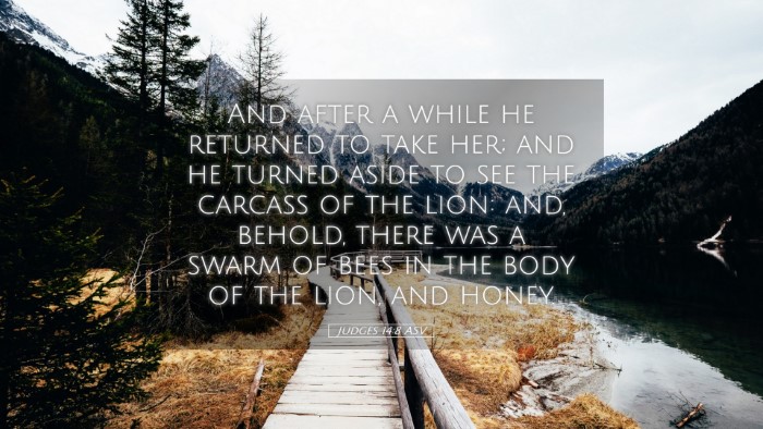 Picture 05 - Judges 14:8 ASV Desktop Wallpaper - And after a while he returned to take her; and he - Desktop Bible Verse Wallpaper