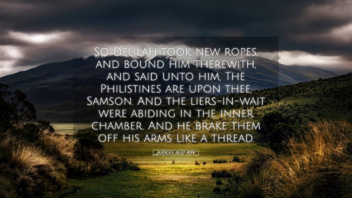 Picture 05 - Judges 16:12 ASV Desktop Wallpaper - So Delilah took new ropes, and bound him - Desktop Bible Verse Wallpaper