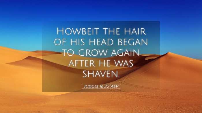 Picture 05 - Judges 16:22 ASV Desktop Wallpaper - Howbeit the hair of his head began to grow again - Desktop Bible Verse Wallpaper