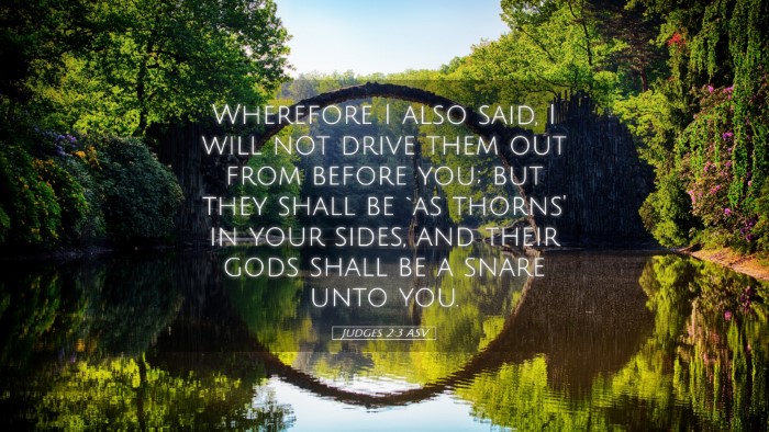 Picture 05 - Judges 2:3 ASV Desktop Wallpaper - Wherefore I also said, I will not drive them out - Desktop Bible Verse Wallpaper