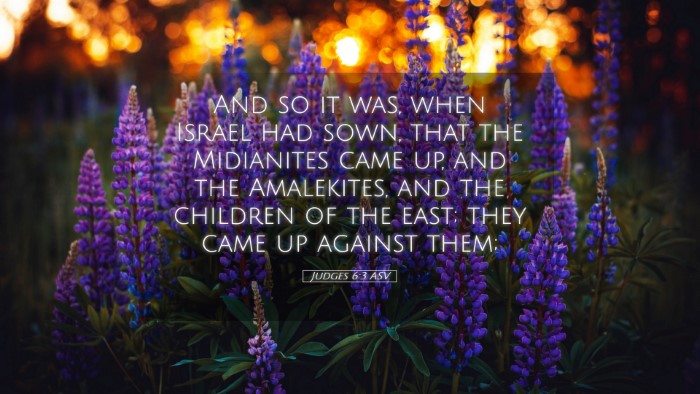 Picture 05 - Judges 6:3 ASV Desktop Wallpaper - And so it was, when Israel had sown, that the - Desktop Bible Verse Wallpaper