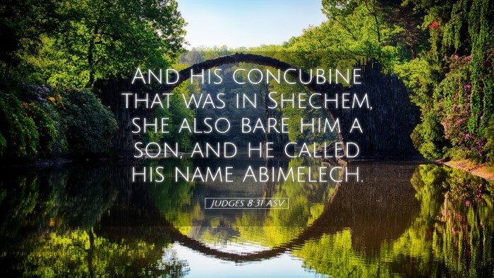 Picture 05 - Judges 8:31 ASV Desktop Wallpaper - And his concubine that was in Shechem, she also - Desktop Bible Verse Wallpaper