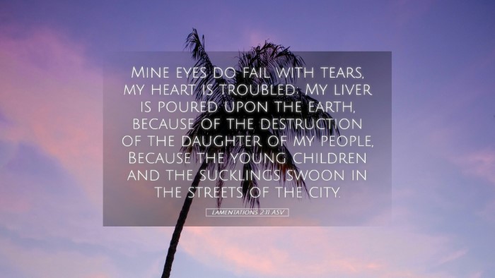 Picture 05 - Lamentations 2:11 ASV Desktop Wallpaper - Mine eyes do fail with tears, my heart is - Desktop Bible Verse Wallpaper